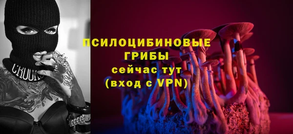 героин Новодвинск