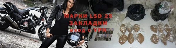 ECSTASY Новозыбков