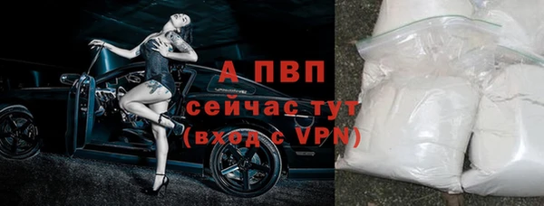 ECSTASY Новозыбков