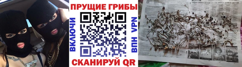 Галлюциногенные грибы прущие грибы  Тюкалинск 